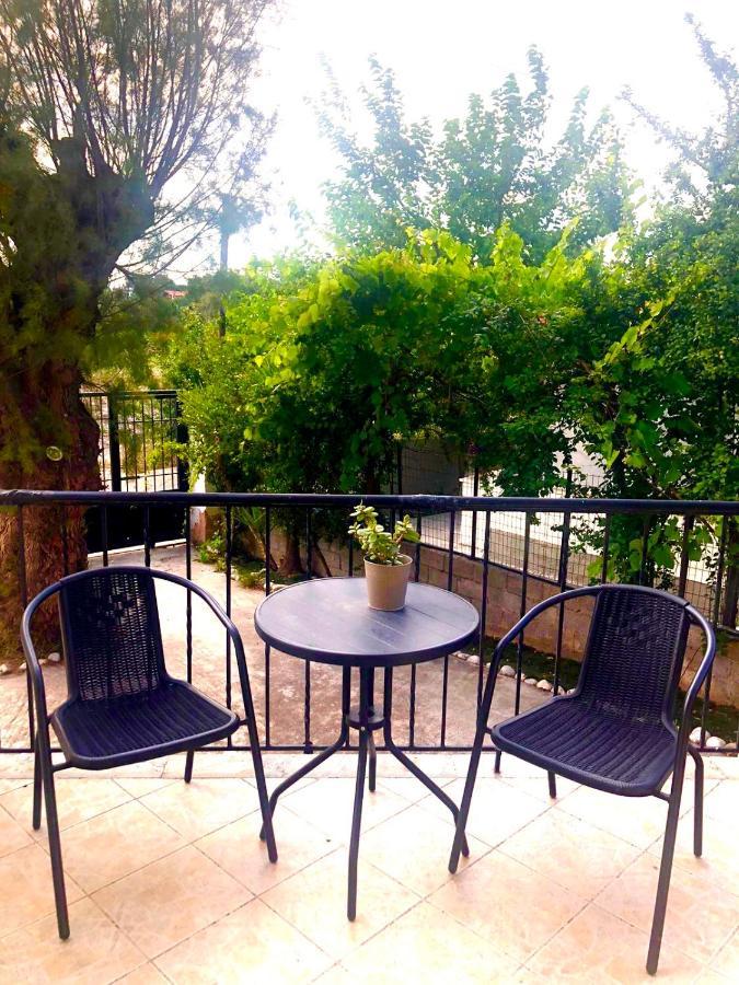 Villa Amia Αρτέμιδα Εξωτερικό φωτογραφία